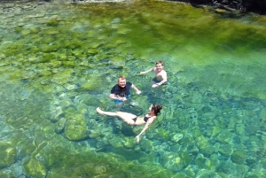 Sal: Salt Lake, Blue Eye og Shark Bay-tur med alt inkludert