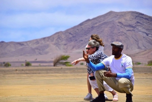 Sal island: Salt Lake, Blue Eye and Shark Bay Tour