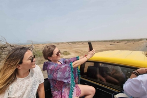 Sal island: Salt Lake, Blue Eye and Shark Bay Tour