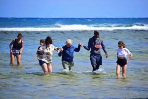 Sal island: Salt Lake, Blue Eye and Shark Bay Tour