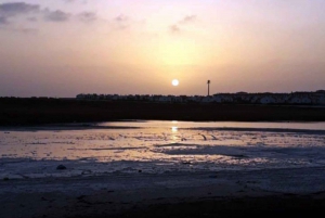 Sal: Private Airport Transfer to Santa Maria or Espargos