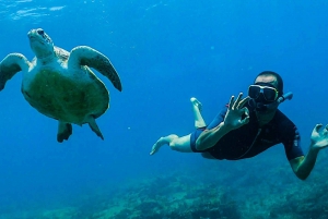Santa María: Excursión guiada de snorkel en pecio y arrecife