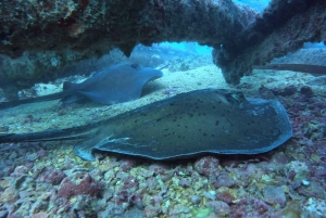 Santa Maria: Guided Snorkeling Shipwreck and Reef Tour