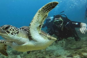 Santa Maria: Guided Snorkeling Shipwreck and Reef Tour
