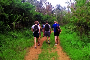 Santiago Island: Serra Malagueta & Tarrafal Beach Trek Tour