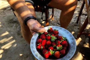 Santiago: Longueira, Pico de Antónia & Monte Tchota Trek