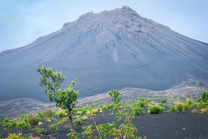 Sao Filipe: Coffee Plantation and Natural Pools Day Trip