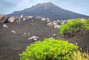 Sao Filipe: Coffee Plantation and Natural Pools Day Trip