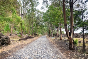 Sao Filipe: Coffee Plantation and Natural Pools Day Trip