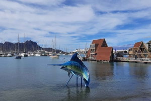 São Vicente: Markets, Beaches and Natural Park Tour