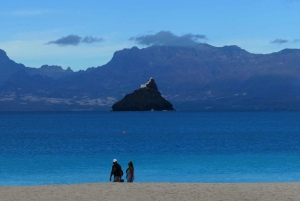 São Vicente: Markets, Beaches and Natural Park Tour