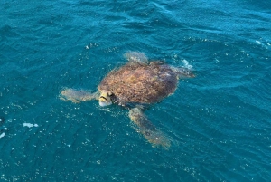 São Vicente: Snorkel with Sea Turtles Adventure