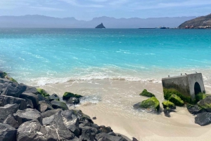 São Vicente: Snorkel with Sea Turtles Adventure