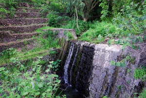 Serra Malagueta: Principal Valley Hike & Lunch with Locals