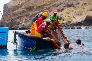 Tarrafal Bay Boat Trip and Beach Day