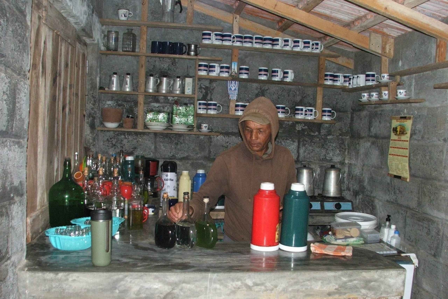 Monte Verde by Car & Tea House – São Vicente’s Highest Point