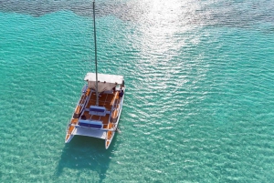 4-godzinna wycieczka do rezerwatu żółwi na luksusowym katamaranie