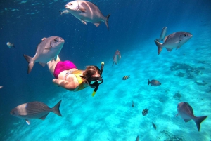 4-godzinna wycieczka do rezerwatu żółwi na luksusowym katamaranie