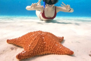 4-godzinna wycieczka do rezerwatu żółwi na luksusowym katamaranie