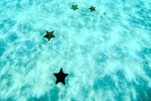 4-godzinna wycieczka do rezerwatu żółwi na luksusowym katamaranie