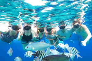 4-godzinna wycieczka do rezerwatu żółwi na luksusowym katamaranie