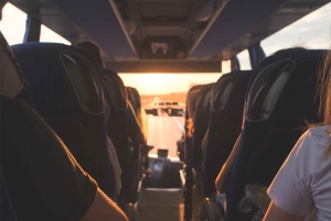 Cancun lufthavn: Envejs fælles transport til Playa del Carmen