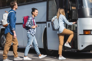 Cancun lufthavn: Envejs fælles transport til Playa del Carmen