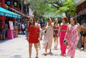 Cancún/Puerto Morelos: Tur til Tulum, Cenote og Playa del Carmen