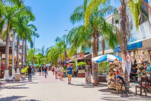 Cancún/Puerto Morelos: Tur til Tulum, Cenote og Playa del Carmen