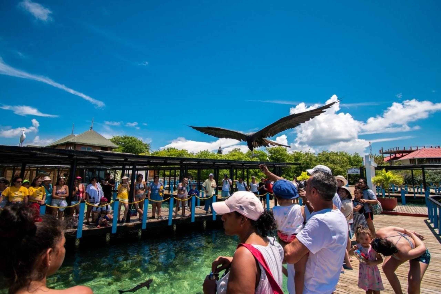 Cartagena: 1-dniowa wycieczka na 4 wyspy + karaibski lunch