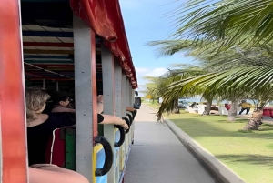 Cartagena: Historyczna wycieczka po mieście autobusem Chiva z przewodnikiem!