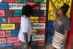 Carthagène : Visite de Palenque, spectacle de danse, déjeuner, prise en charge incluse.