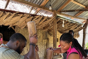 Carthagène : Visite de Palenque, spectacle de danse, déjeuner, prise en charge incluse.
