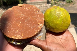 Carthagène : Visite de Palenque, spectacle de danse, déjeuner, prise en charge incluse.