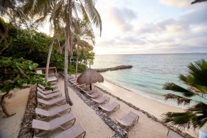 Cartagena: Islas del Rosario med Oceanario i San Pedro de Majagua