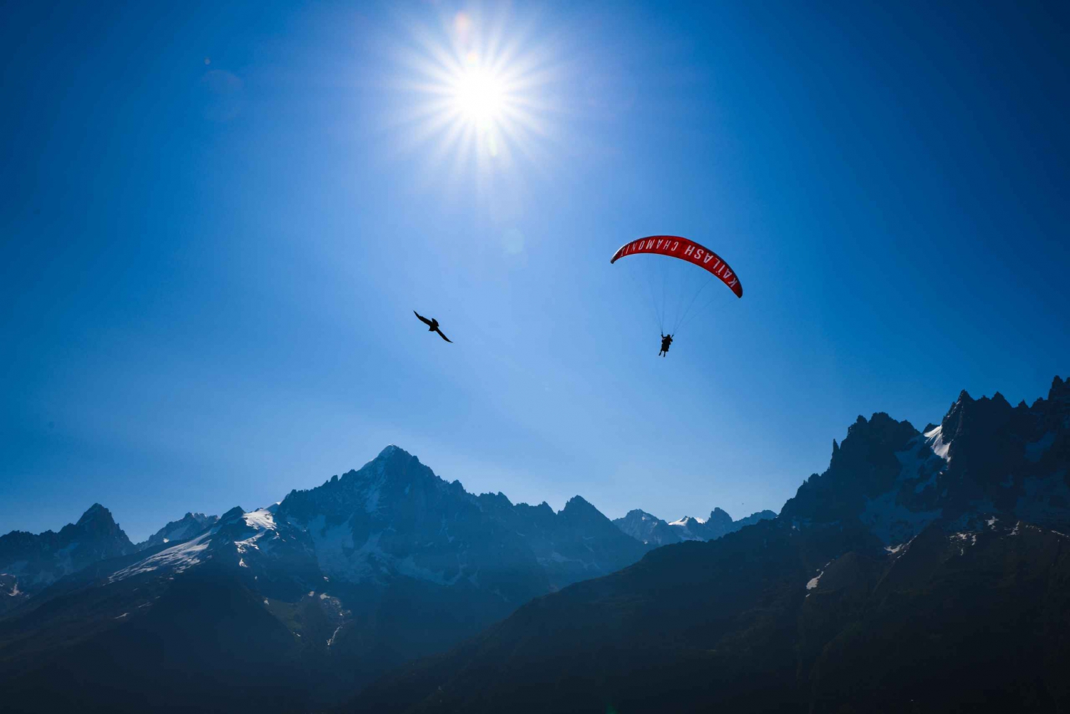 Chamonix: Tandem-paragliding med udsigt over Mont Blanc