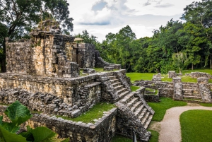 Chiapas: Palenque Archaeological Site Skip-the-Line Ticket