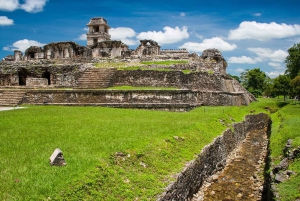 Chiapas: Palenque Archaeological Site Skip-the-Line Ticket