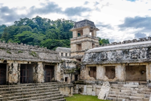 Chiapas: Palenque Archaeological Site Skip-the-Line Ticket