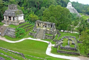 Chiapas: Palenque Archaeological Site Skip-the-Line Ticket