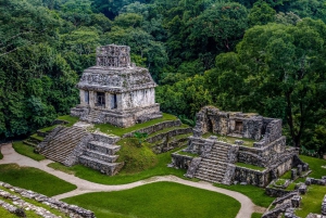 Chiapas: Palenque Archaeological Site Skip-the-Line Ticket