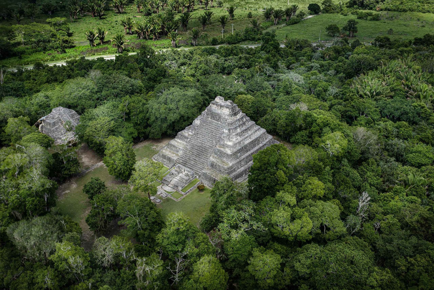 Costa Maya: Excursão Privada de Cruzeiro às Ruínas Maias de Chacchoben