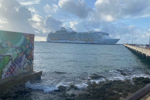 Privat tur til Costa Maya-havnen: Chacchoben-ruinerne og strandklubben