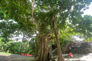 Privat tur til Costa Maya-havnen: Chacchoben-ruinerne og strandklubben