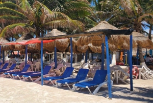 Privat tur til Costa Maya-havnen: Chacchoben-ruinerne og strandklubben