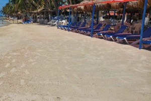 Privat tur til Costa Maya-havnen: Chacchoben-ruinerne og strandklubben