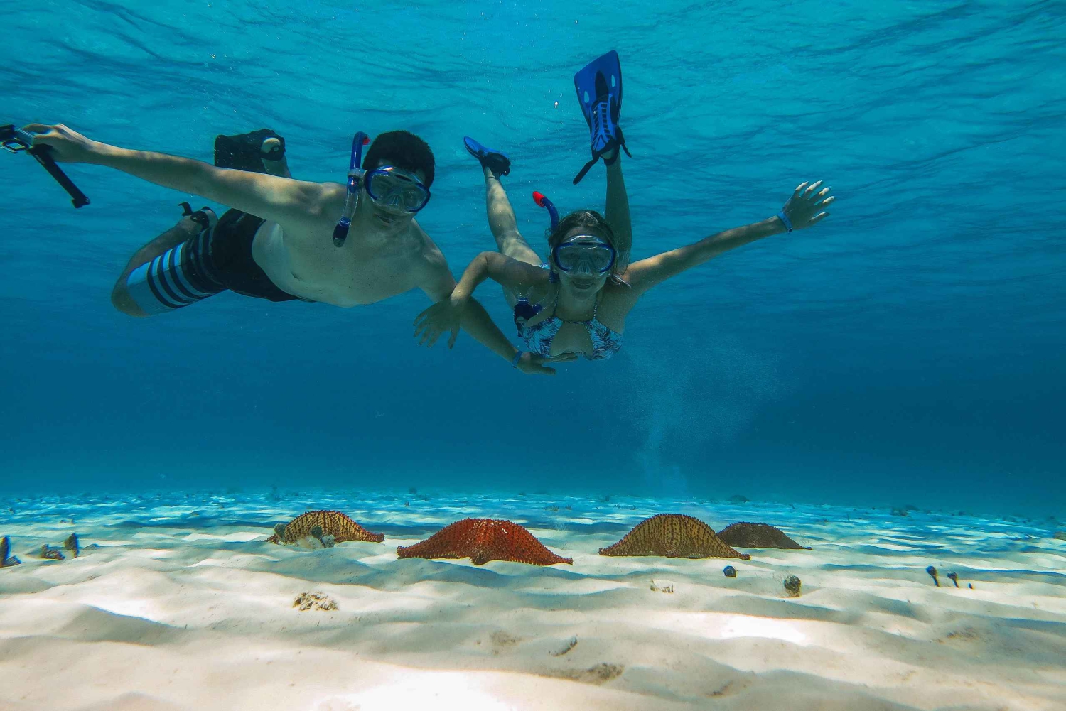Cozumel: nurkowanie przy rafach Palancar, Columbia i Cielo