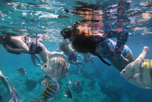 Cozumel: Privat VIP-glasbundbåd og snorkeltur