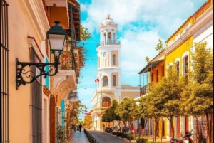 Exklusiver VIP-Ausflug: Santo Domingo ab Punta Cana – Privater Service