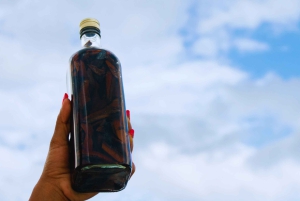 Exklusiver VIP-Ausflug: Santo Domingo ab Punta Cana – Privater Service